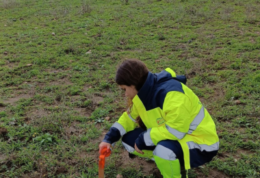 Polarización inducida