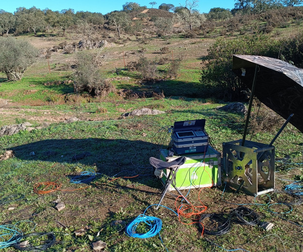 INDUCED POLARIZATION 2